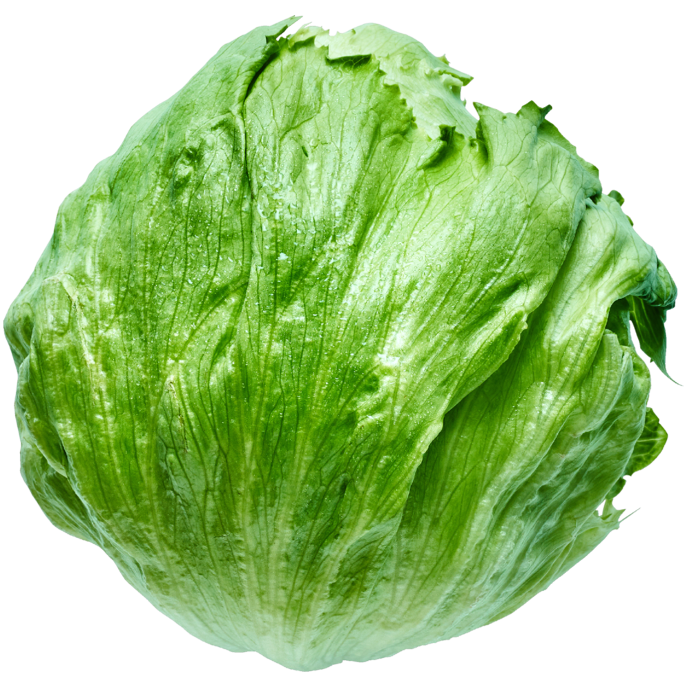 Månsson dansk icebergsalat